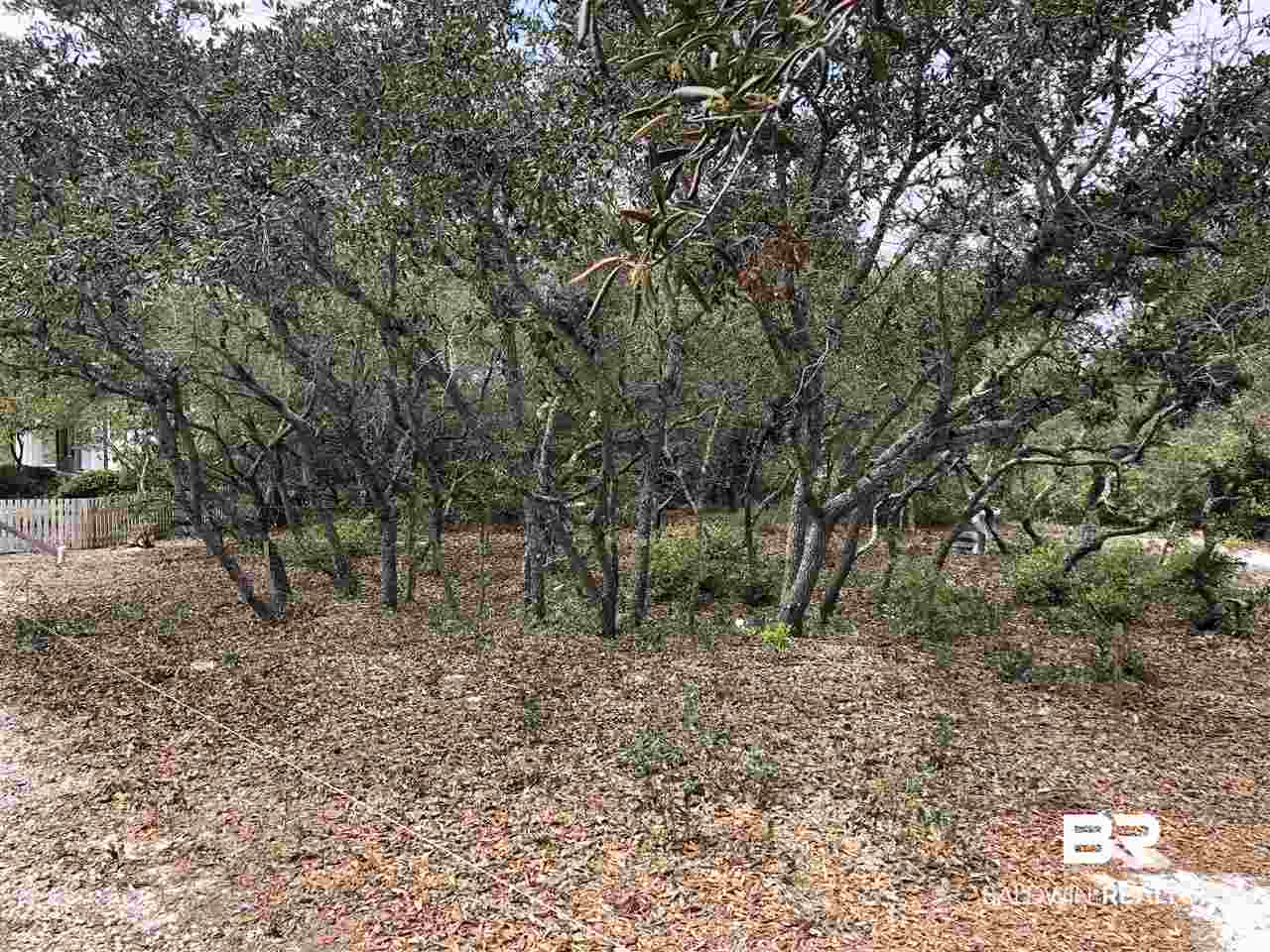 60 Parks Edge Orange Beach, AL 36561 - Photo 1 of 14