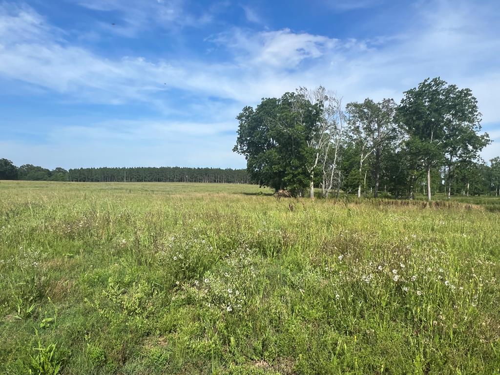 11.30-acres J Saunders Road Dothan, AL 36303 - Photo 1 of 3