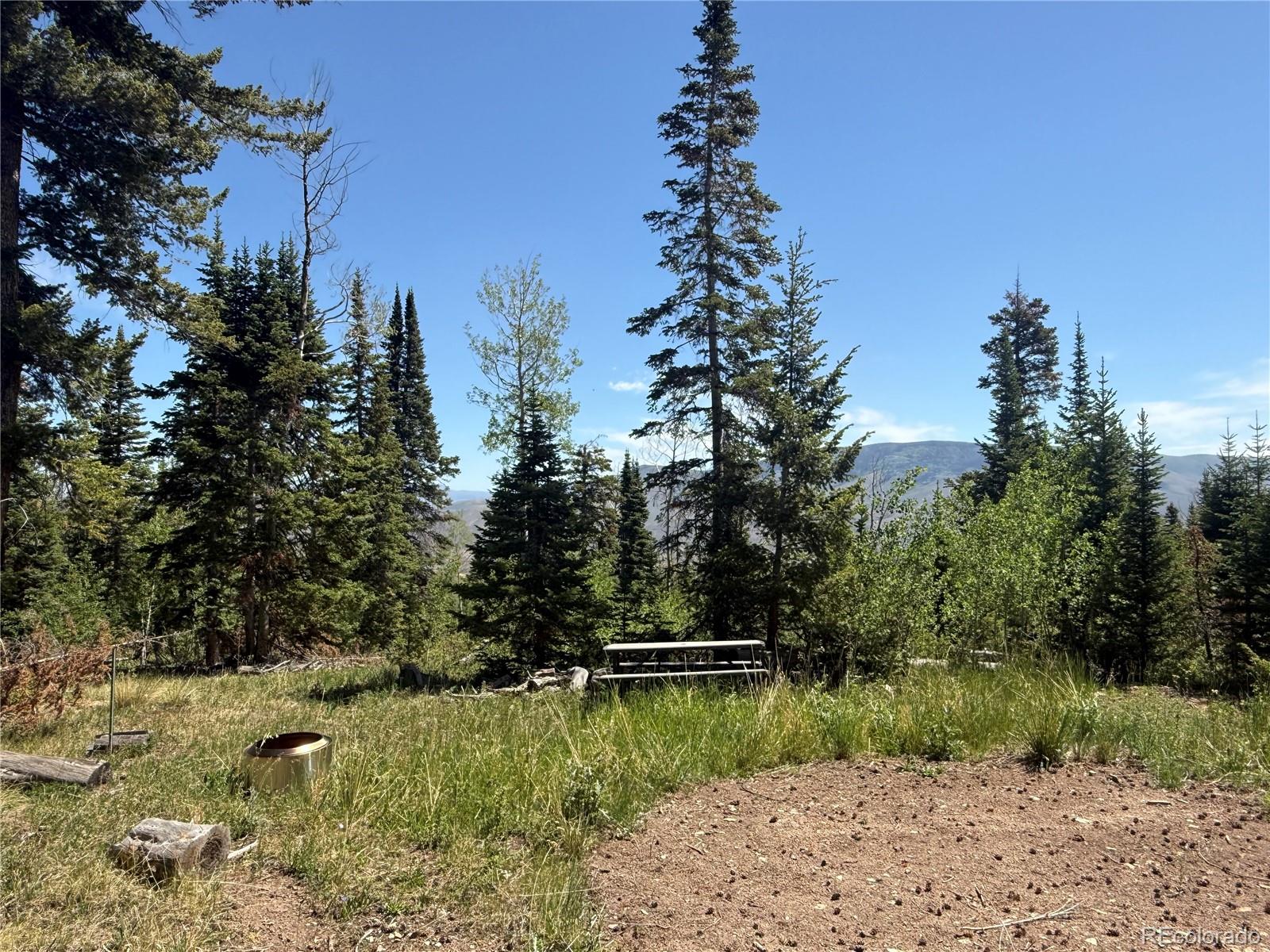 Spring Creek Ranch Road Silverthorne, CO 80498 - Photo 36 of 38