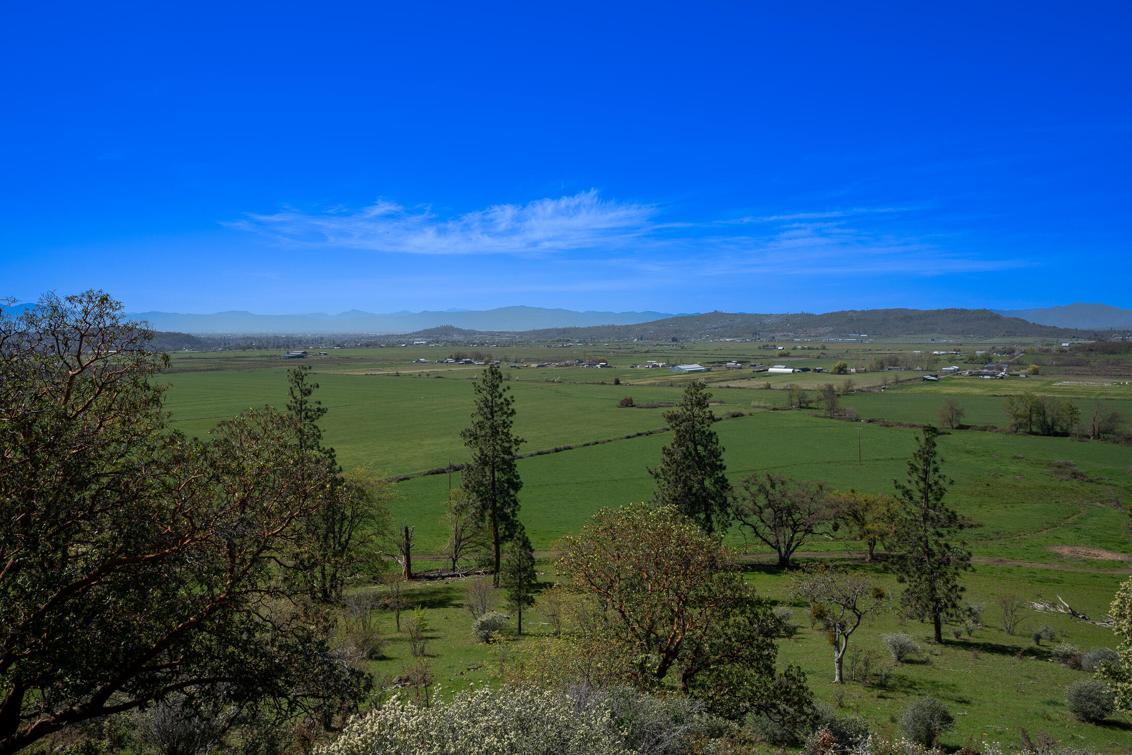 1881 Brophy Road Eagle Point, OR 97524 - Photo 119 of 130 117