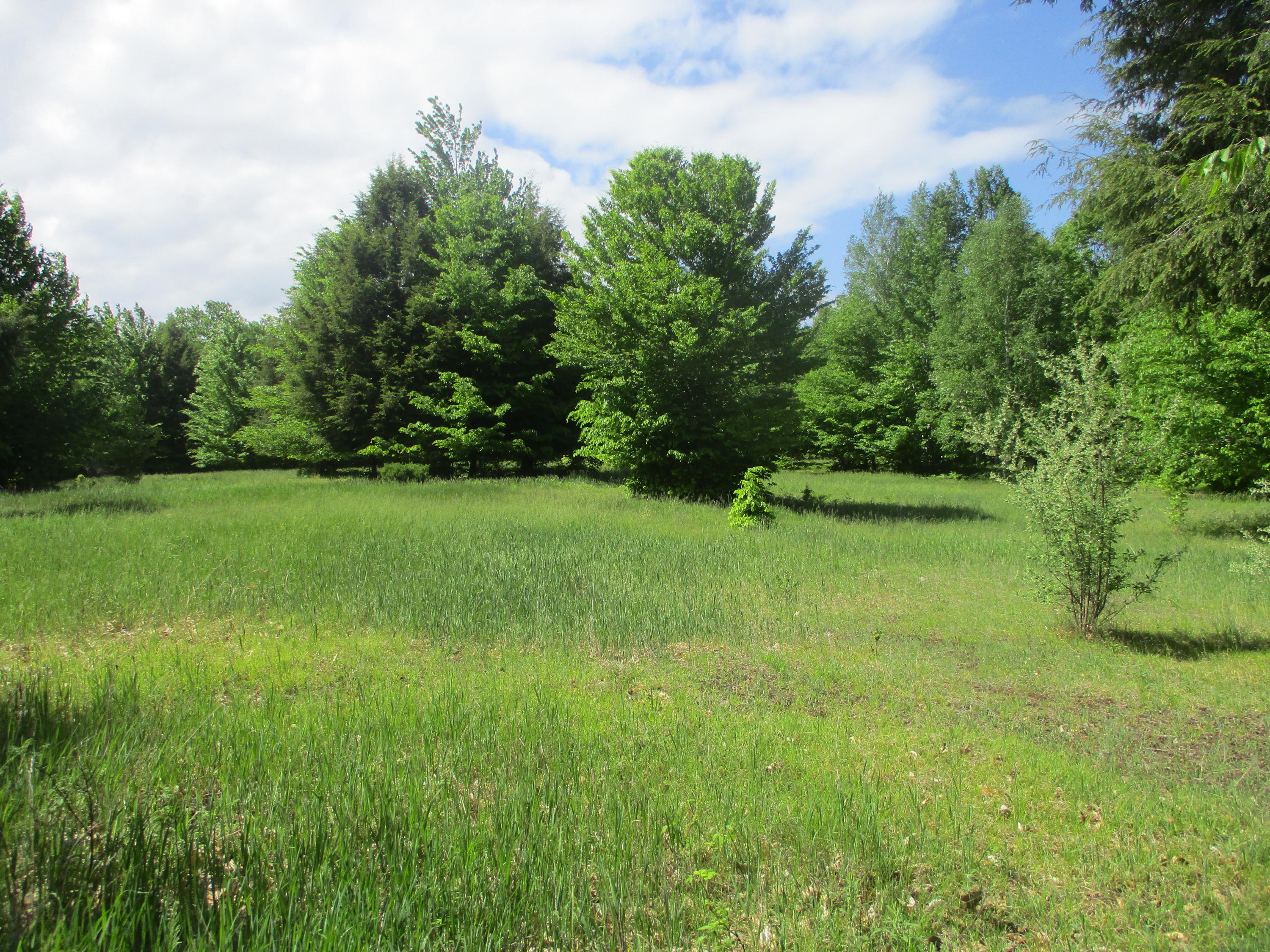 Smith Road, Unit 43 Onekama, MI 49675 - Photo 3 of 18 more possibilities