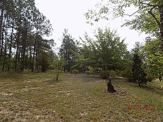 971 Colbert Bridge Road Aiken, SC 29803 - Photo 18 of 33