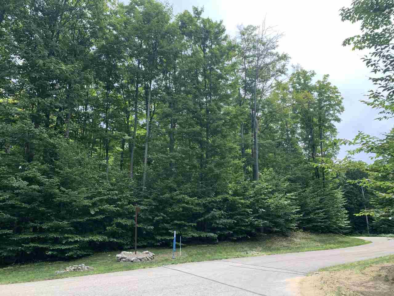 157 Falcons Rest, Unit LOT: 157 Bellaire, MI 49615 - Photo 6 of 36