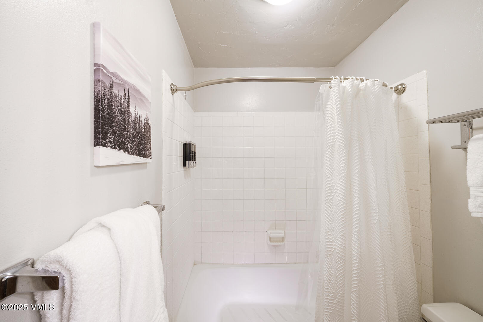 548 South Frontage Road West, Unit 301 Vail, CO 81657 - Photo 12 of 32 a bathroom with a shower curtain and a window