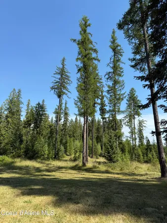 $539,000 | 77091 State Highway 3, St. Maries, ID 83861