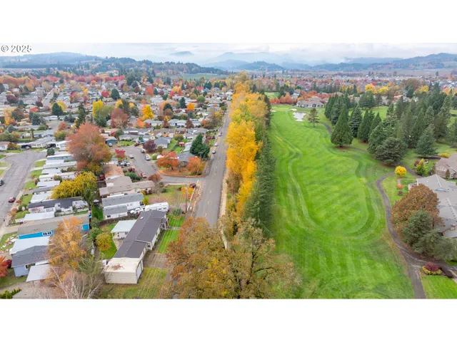 an aerial view of residential houses with outdoor space and trees