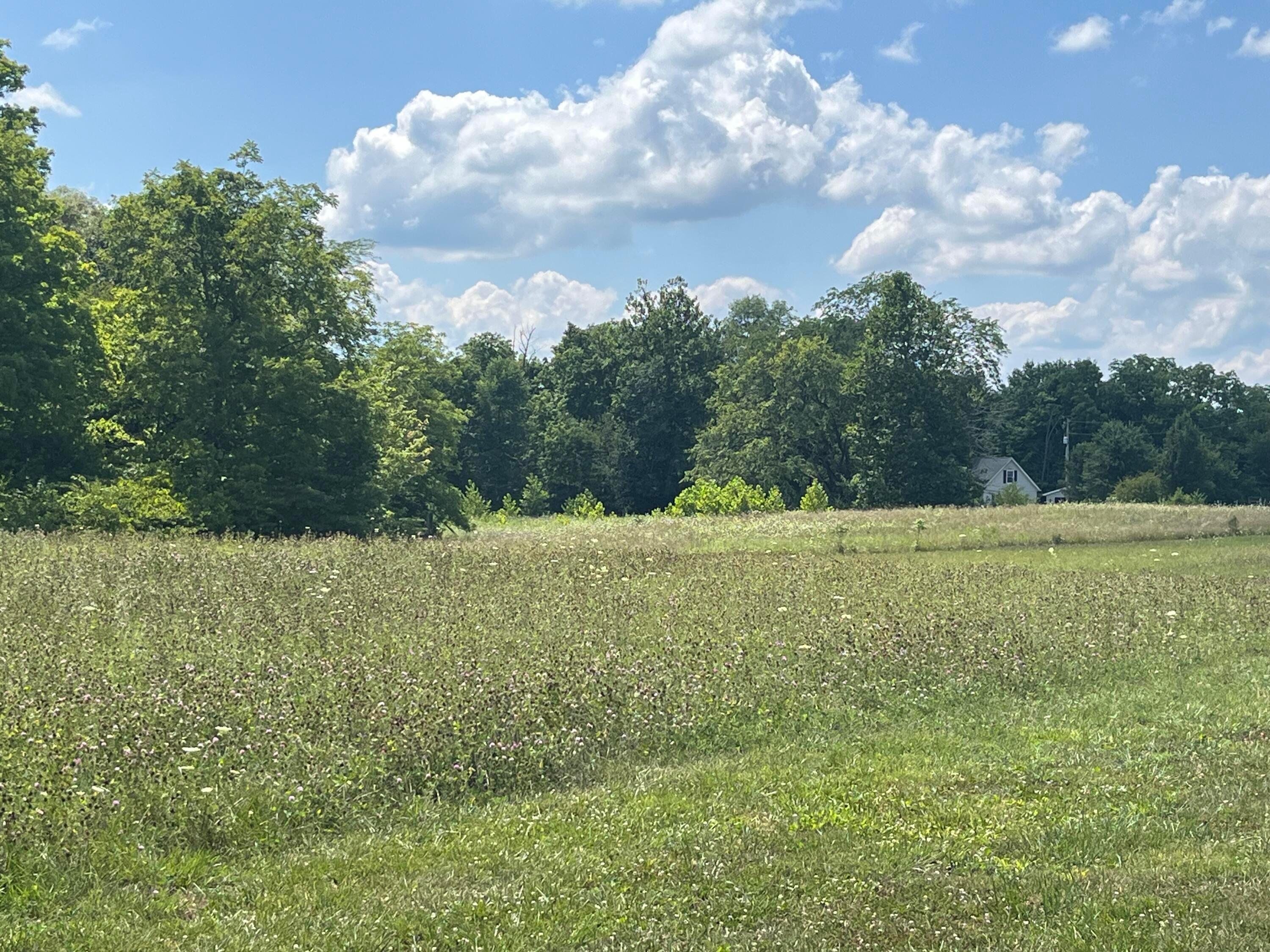 1700 Fishback Road Leesburg, OH 45135 - Photo 19 of 19 IMG_7657