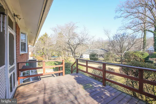 a view of road with large trees