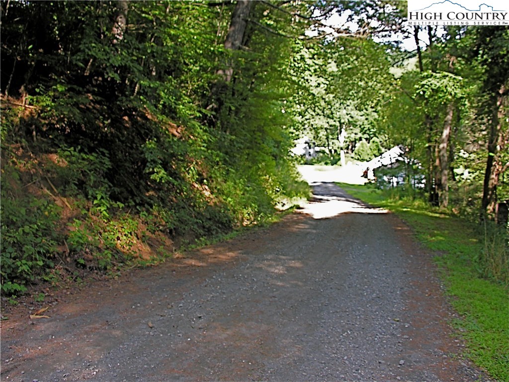 Ira Powers Road Lansing, NC 28643 - Photo 8 of 8 a view of a road with plants and trees