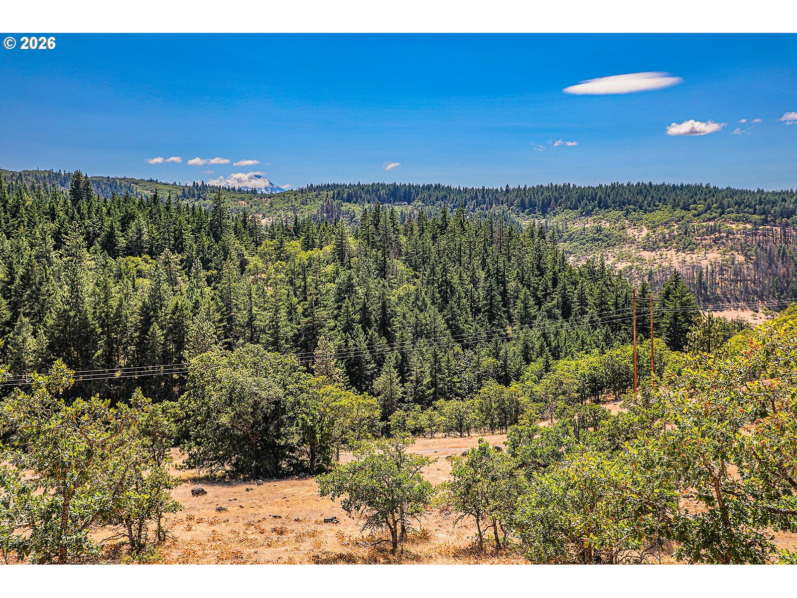 2300 Dry Creek Road Mosier, OR 97040 - Photo 10 of 34
