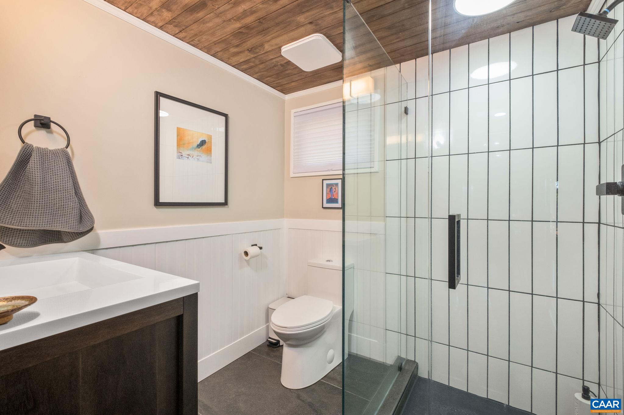 247 Blue Rock Ridge Charlottesville, VA 22903 - Photo 34 of 64 a bathroom with a toilet sink and shower