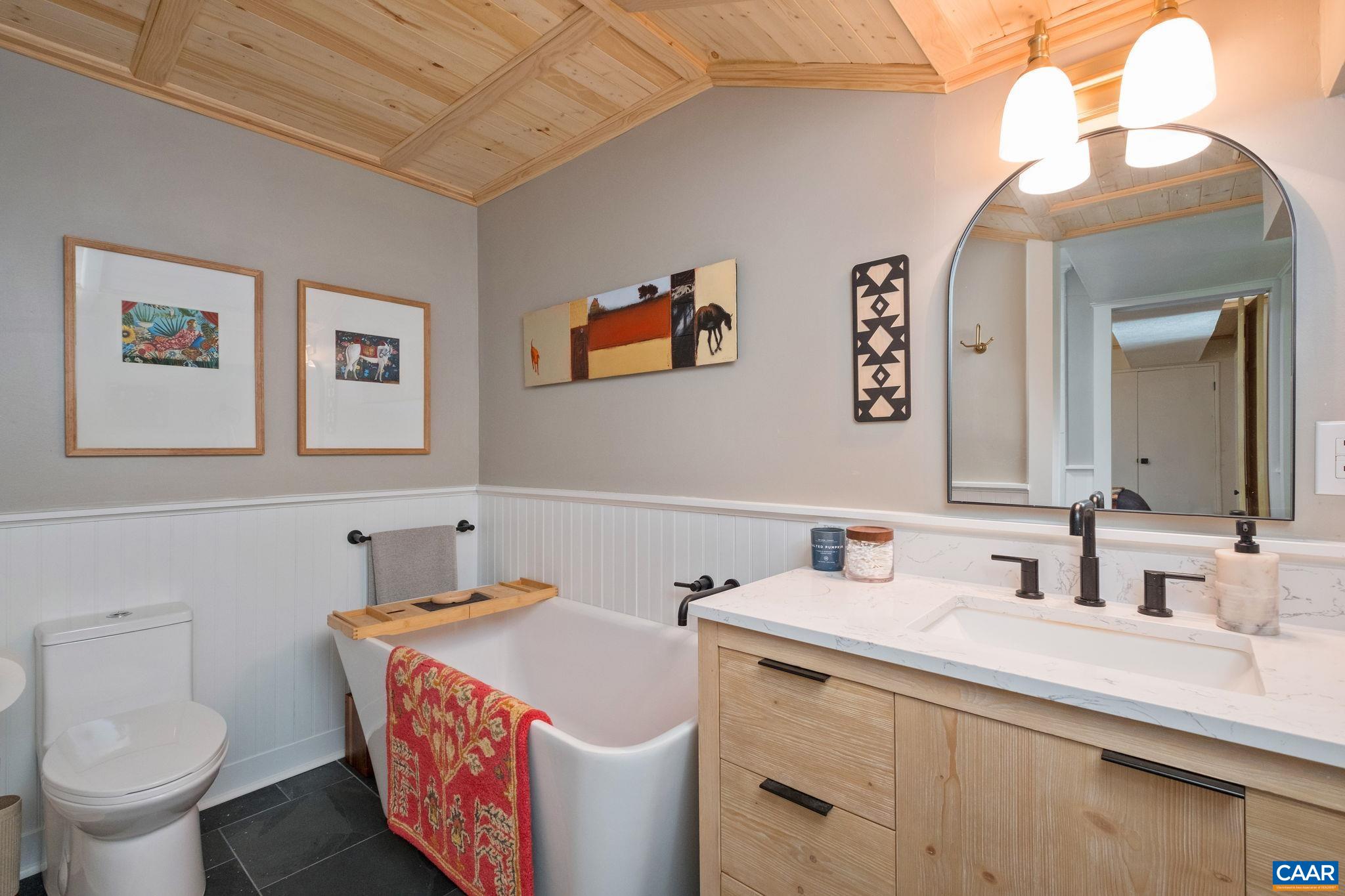 247 Blue Rock Ridge Charlottesville, VA 22903 - Photo 52 of 64 a bathroom with a sink and a toilet