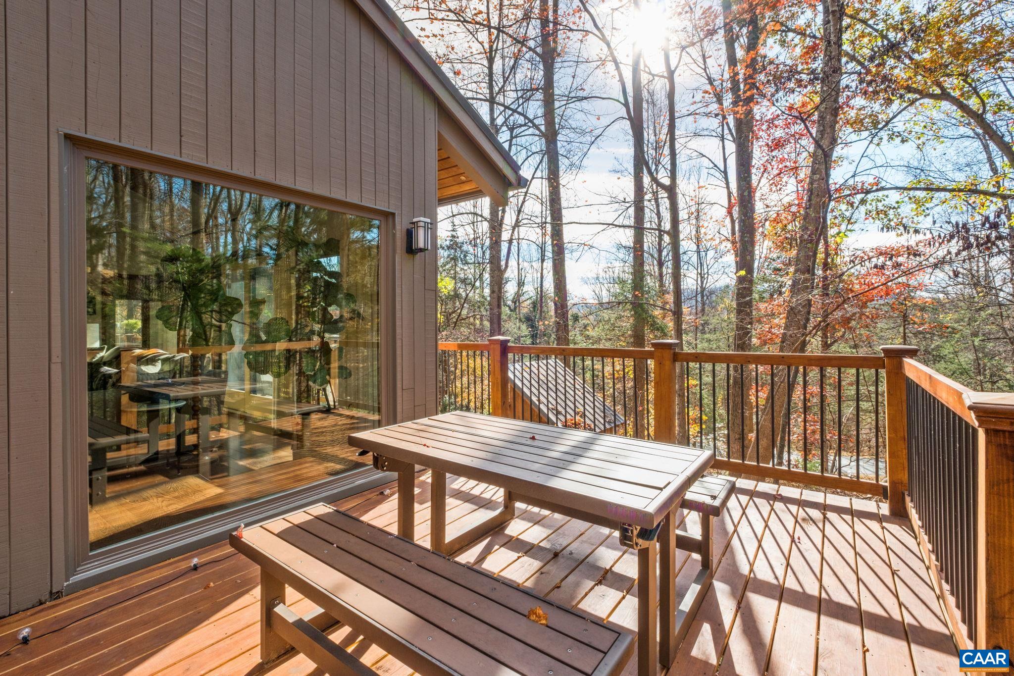 247 Blue Rock Ridge Charlottesville, VA 22903 - Photo 10 of 64