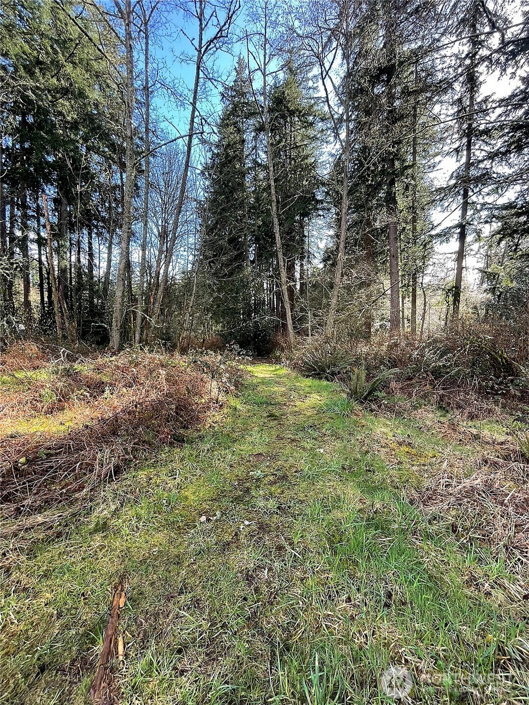 9221 Southwest Bank Road Vashon, WA 98070 - Photo 6 of 10