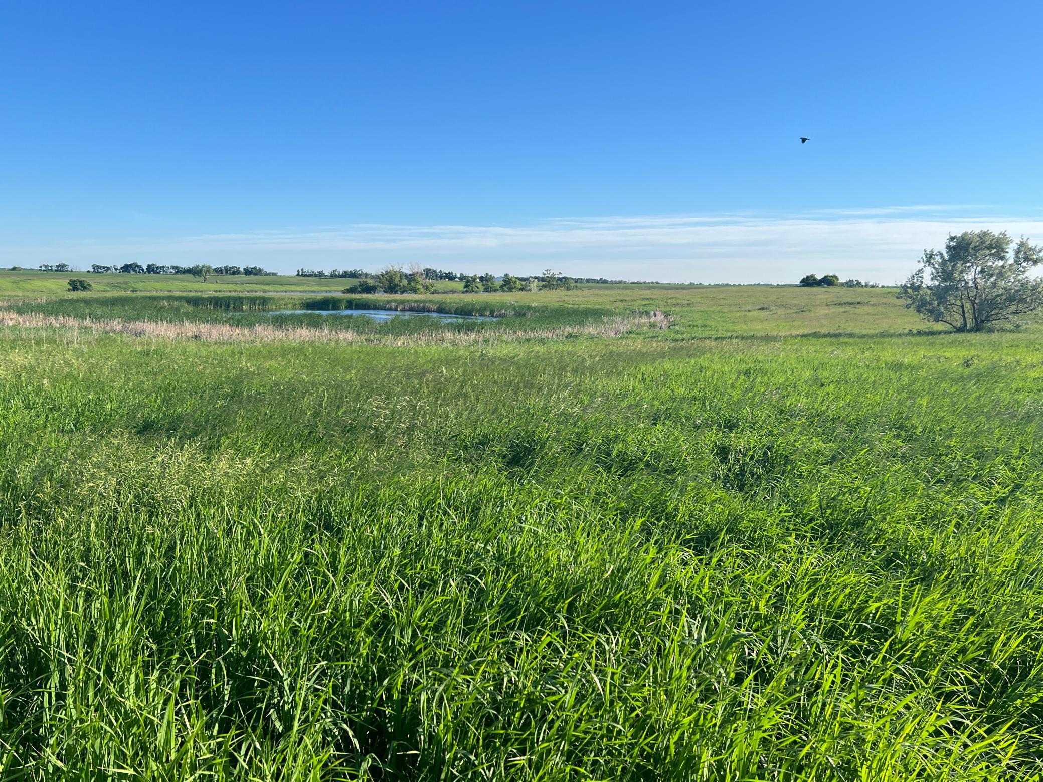 Tbd Southeast Tbd Se 90th Street Rutland, ND 58067 - Photo 17 of 105