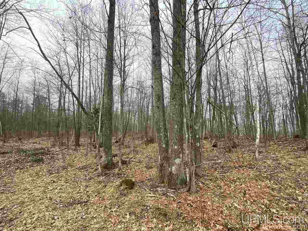 Tbd Plains Cutoff Road Baraga, MI 49908 - Photo 14 of 49