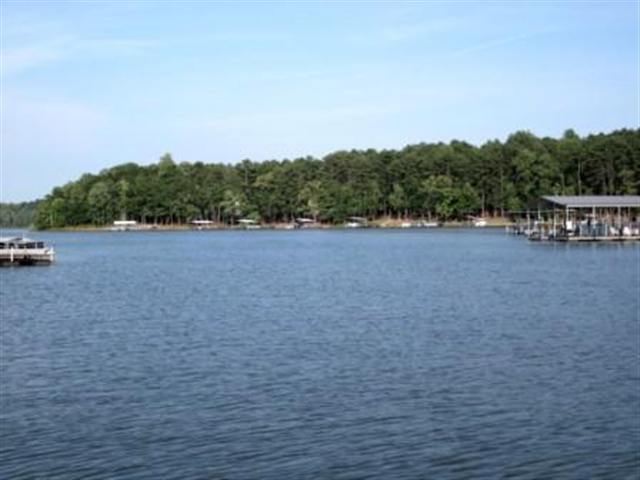 101 Pinetree Road, Unit LAKE HARTWELL Townville, SC 29689 - Photo 18 of 18 Gallery Image 18
