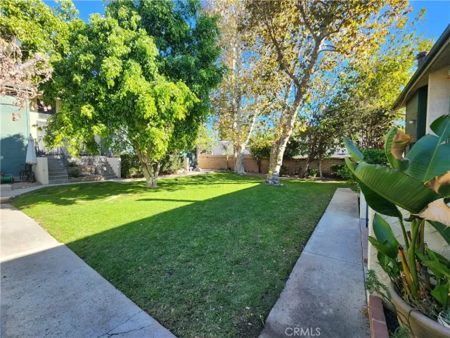 a view of a house with a big yard potted plants and large tree