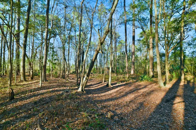 $275,000 | 107 Auto Supply Drive, Goose Creek, SC 29445