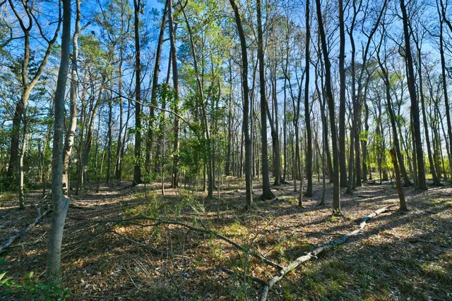 $275,000 | 107 Auto Supply Drive, Goose Creek, SC 29445