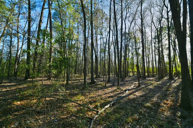 $275,000 | 107 Auto Supply Drive, Goose Creek, SC 29445