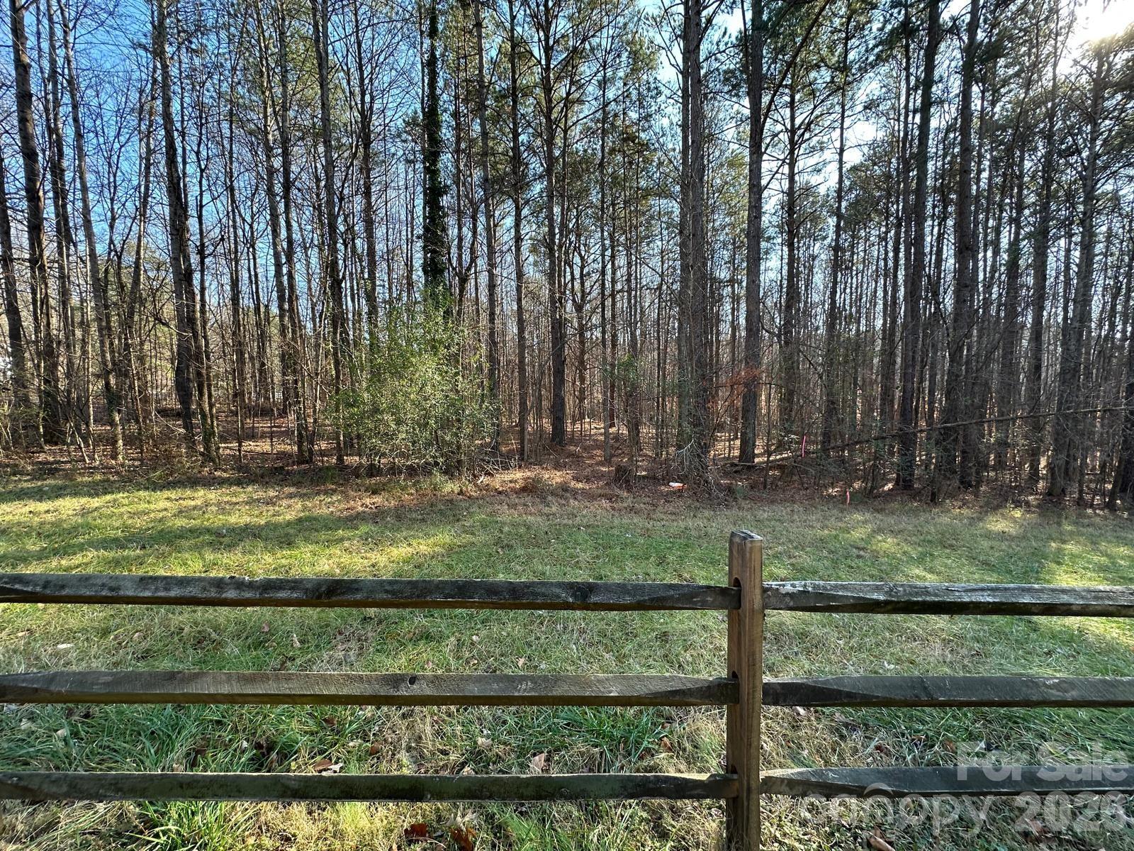 a view of a yard with a tree