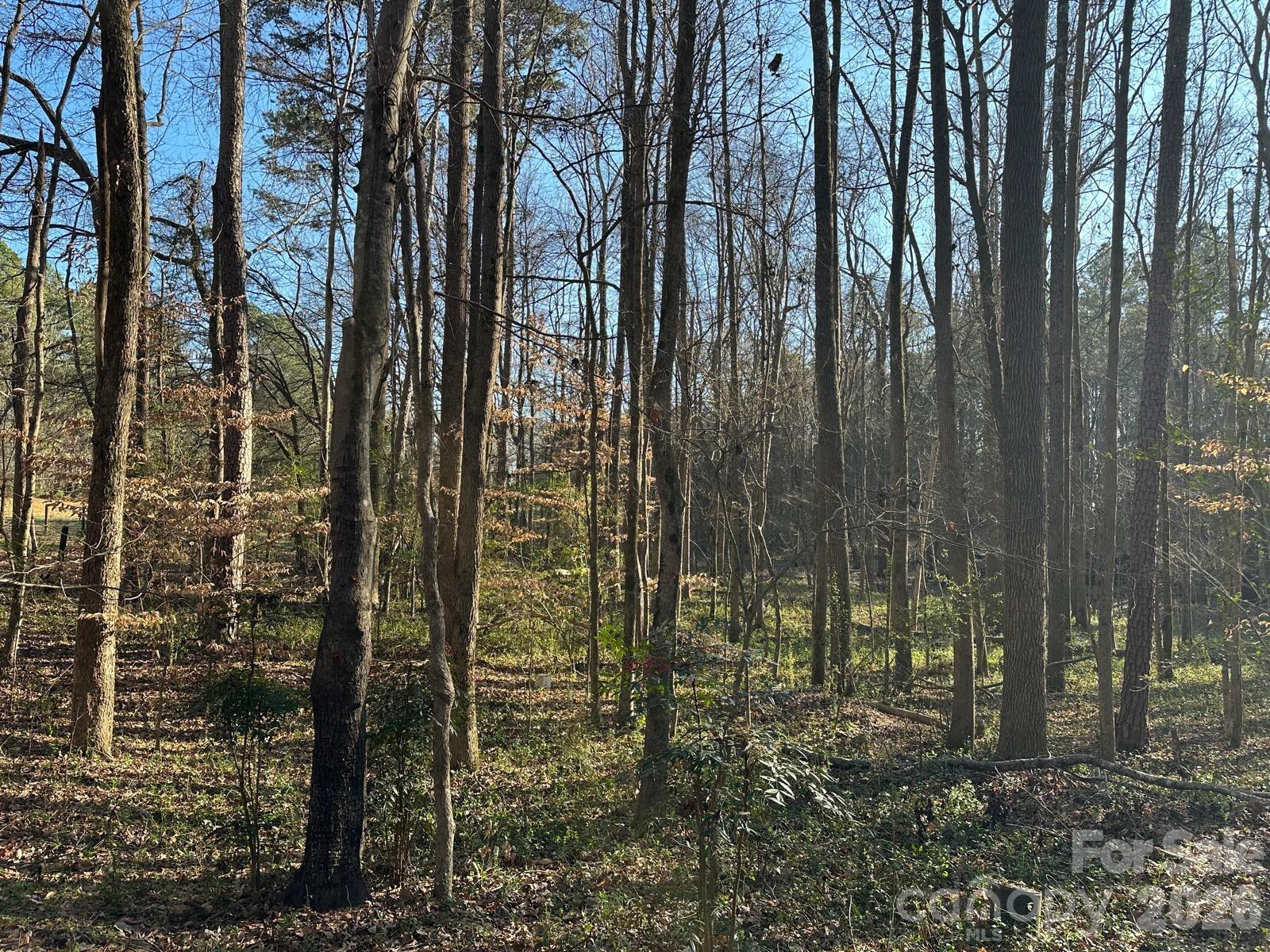 1415 Trinity Church Road Monroe, NC 28112 - Photo 2 of 10 a view of outdoor space and garden