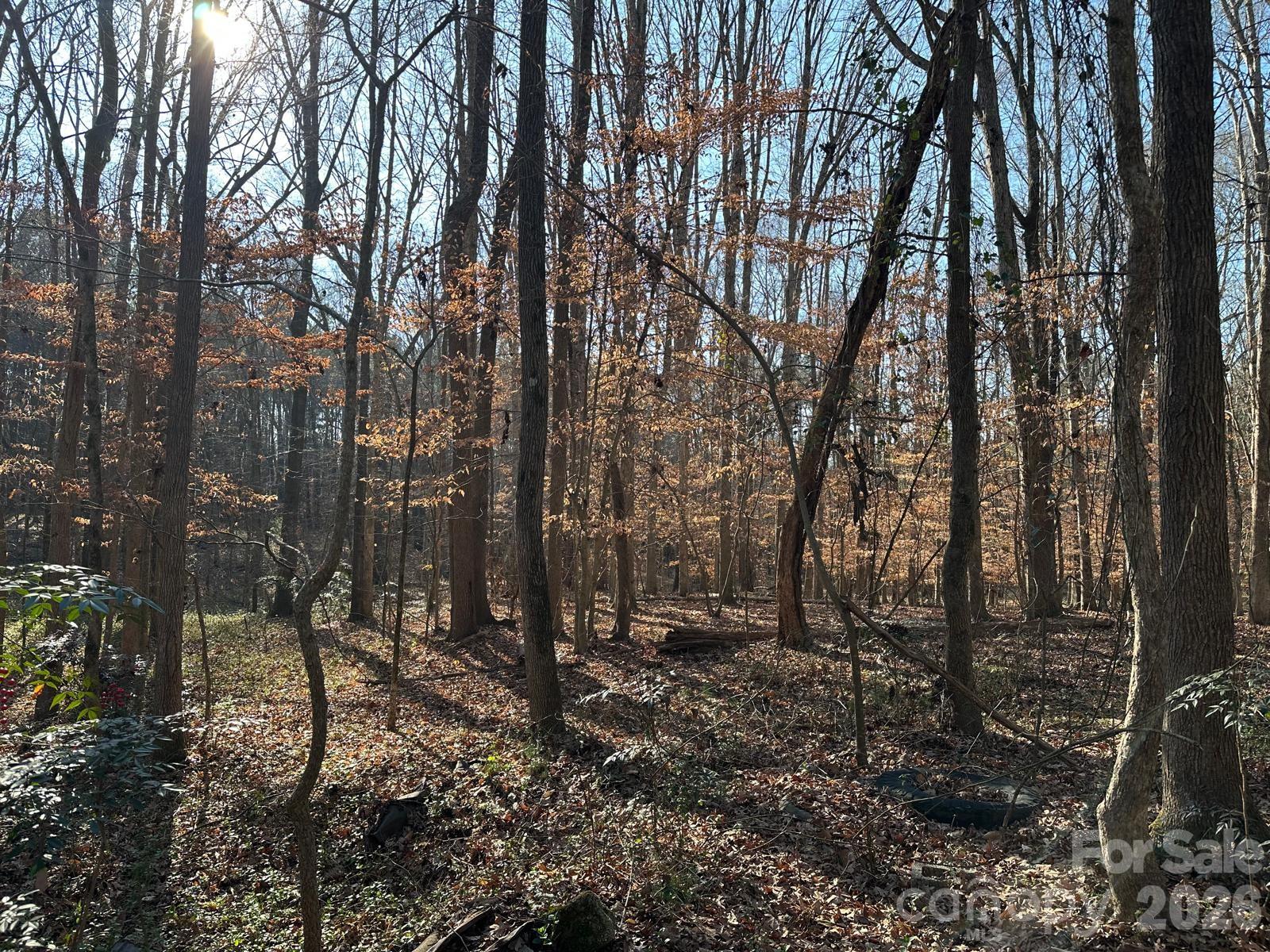 1415 Trinity Church Road Monroe, NC 28112 - Photo 4 of 10 a backyard of a house with lots of green space