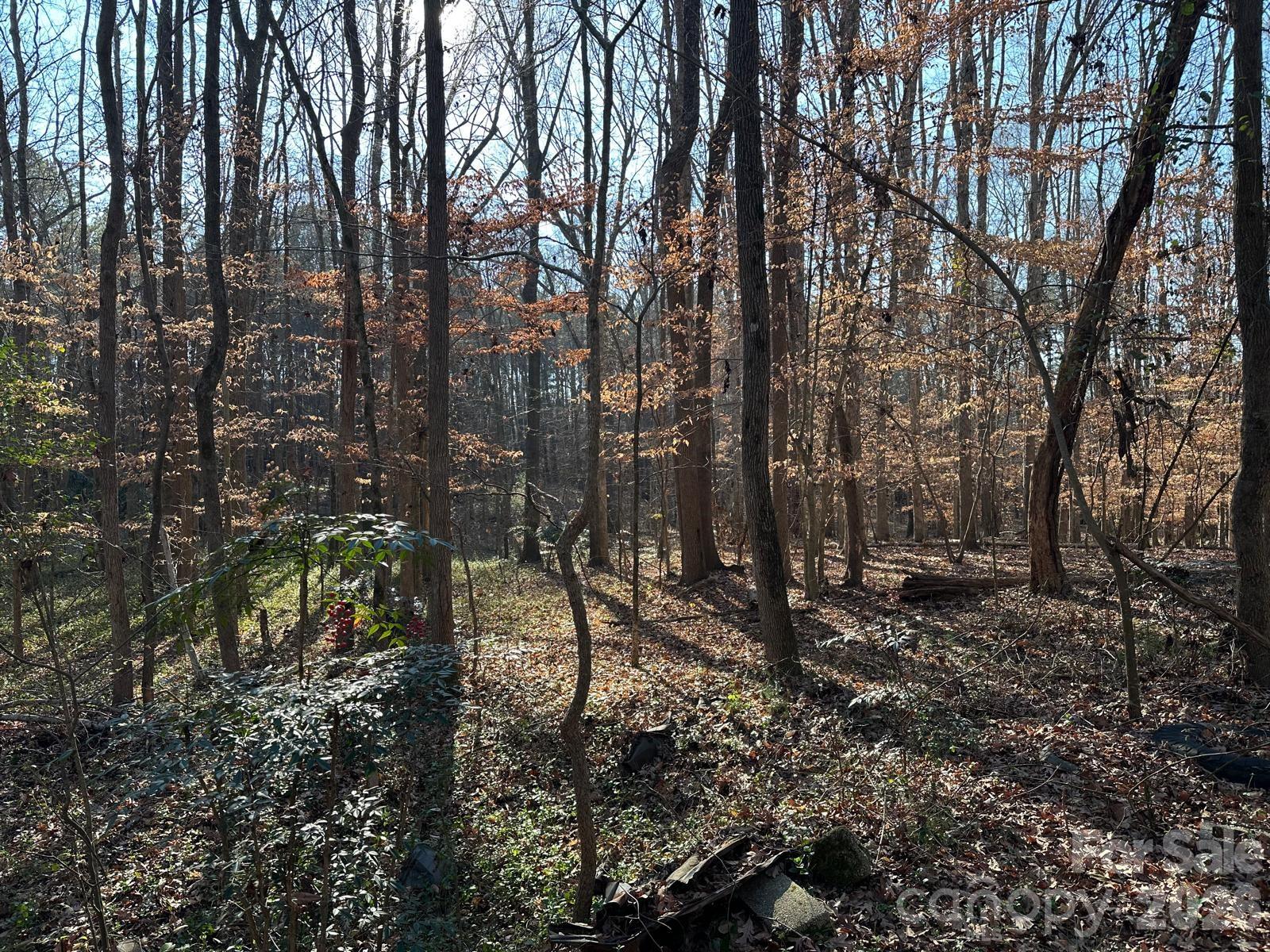 1415 Trinity Church Road Monroe, NC 28112 - Photo 5 of 10 a view of a forest with trees