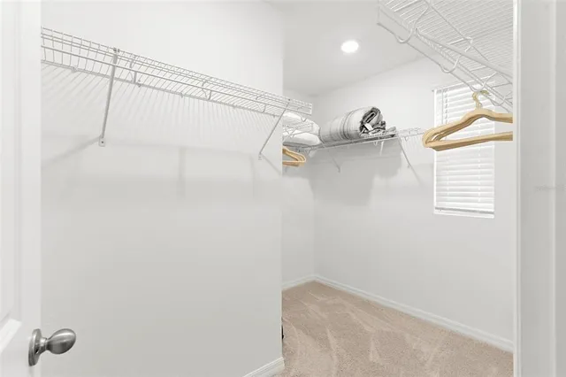 a bathroom with a shower and a window