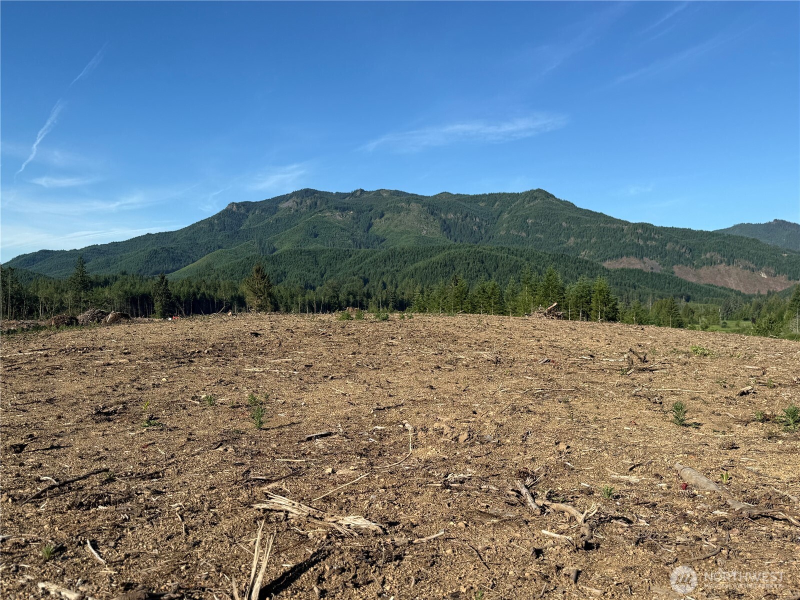 215 Mineral Road North Mineral, WA 98355 - Photo 24 of 29