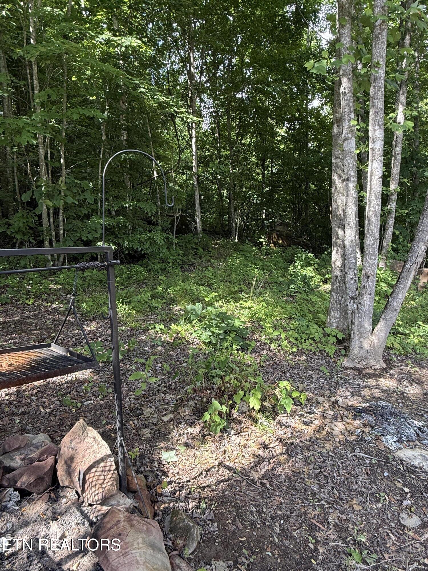 549 Defender Road La Follette, TN 37766 - Photo 32 of 42 Fire Pit area
