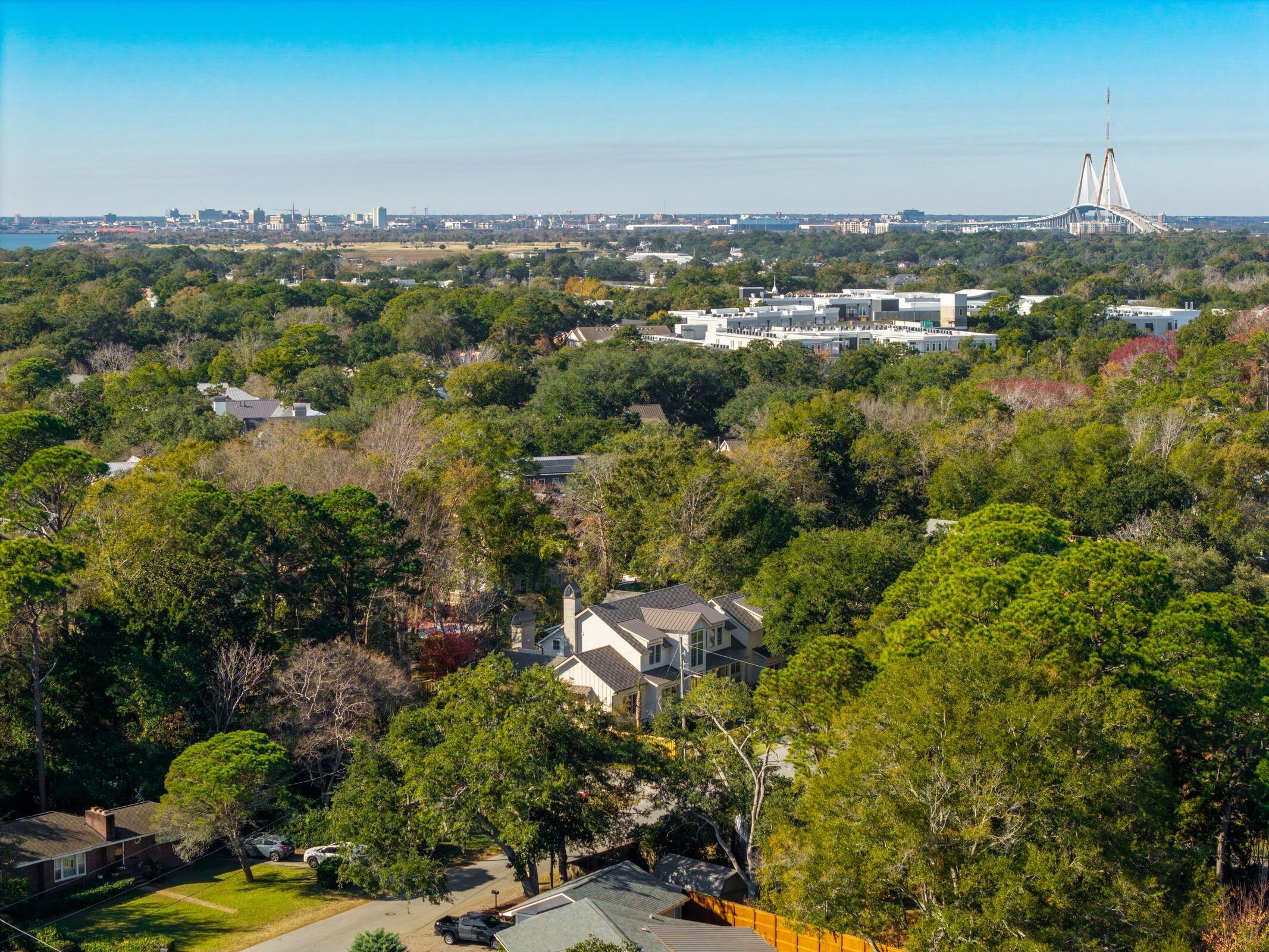 1335 Erckmann Drive Mount Pleasant, SC 29464 - Photo 97 of 100 1335ErckmannDr-KeenEyeMarketing-103