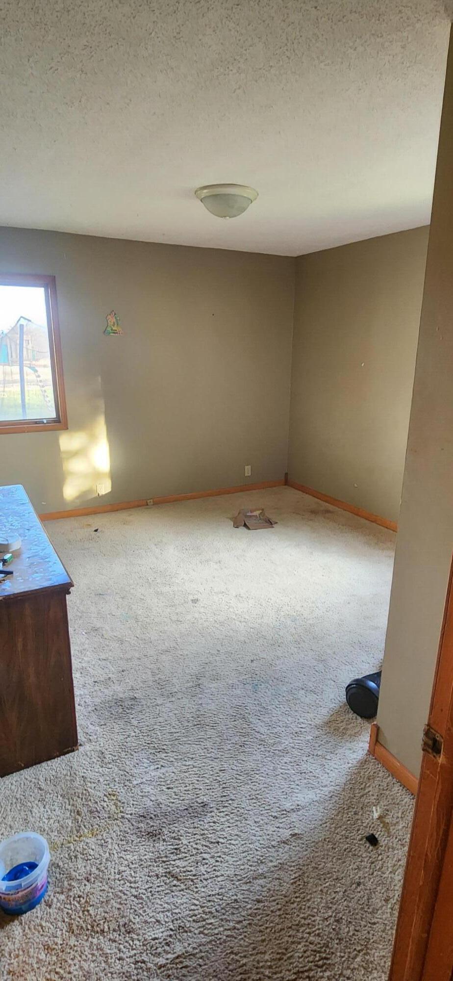 9755 Borden Road Hubbardston, MI 48845 - Photo 4 of 10 1000003008
