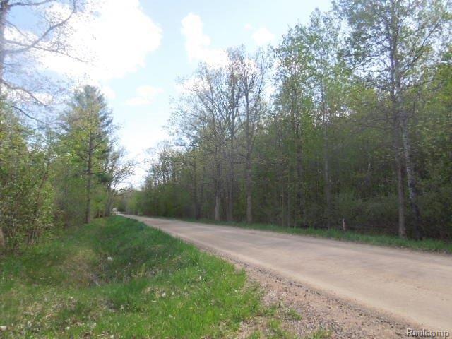 5412 Skelton Road Columbiaville, MI 48421 - Photo 21 of 23 5-13 214.jpg