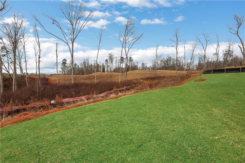 5940 Violet Lane Cumming, GA 30028 - Photo 54 of 65