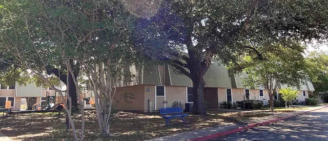 a view of a street with a large tree