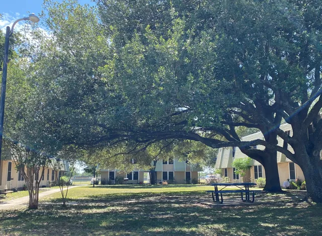 a view of yard with tree s
