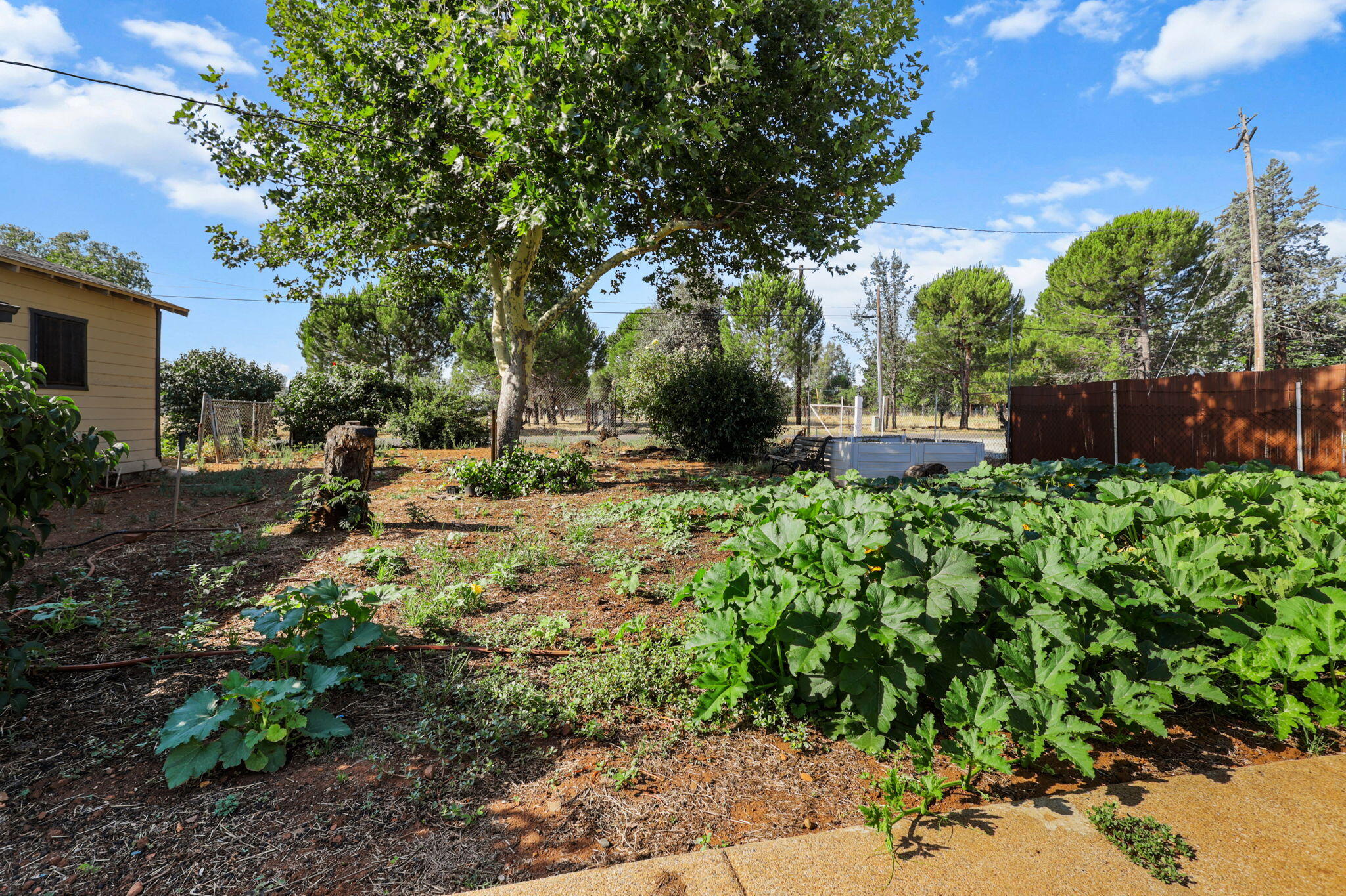 15680 Cloverdale Road Anderson, CA 96007 - Photo 2 of 27 Garden
