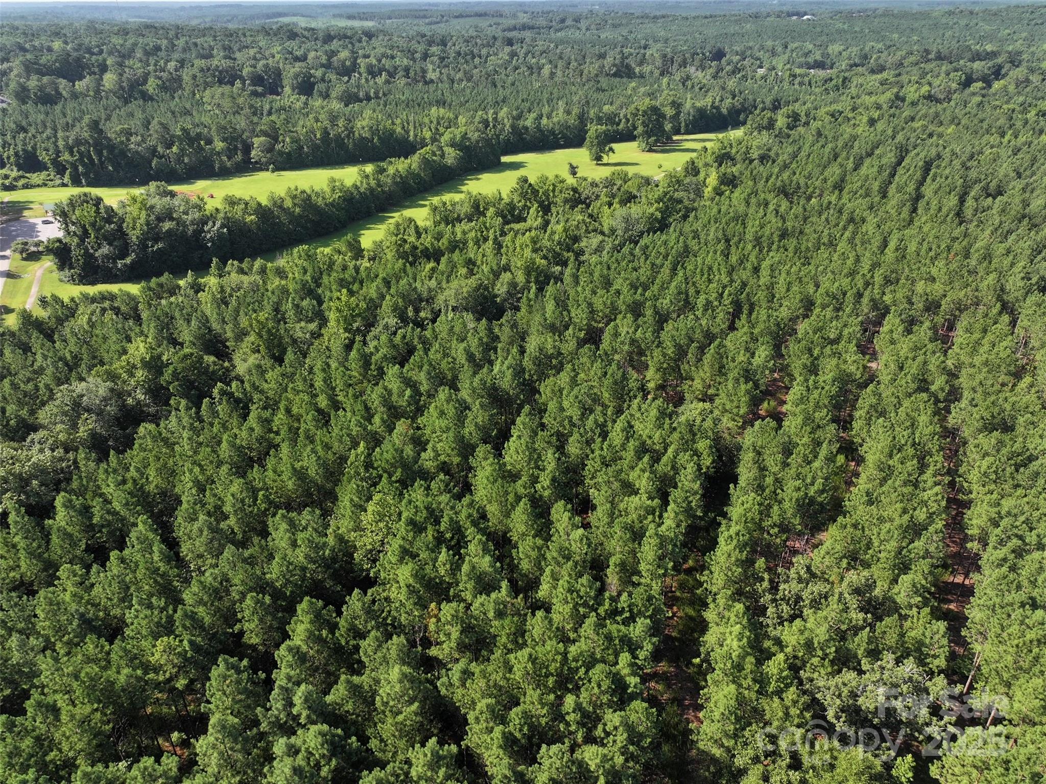 0 Chesterfield Road Wadesboro, NC 28170 - Photo 2 of 8 a view of a green yard with large trees