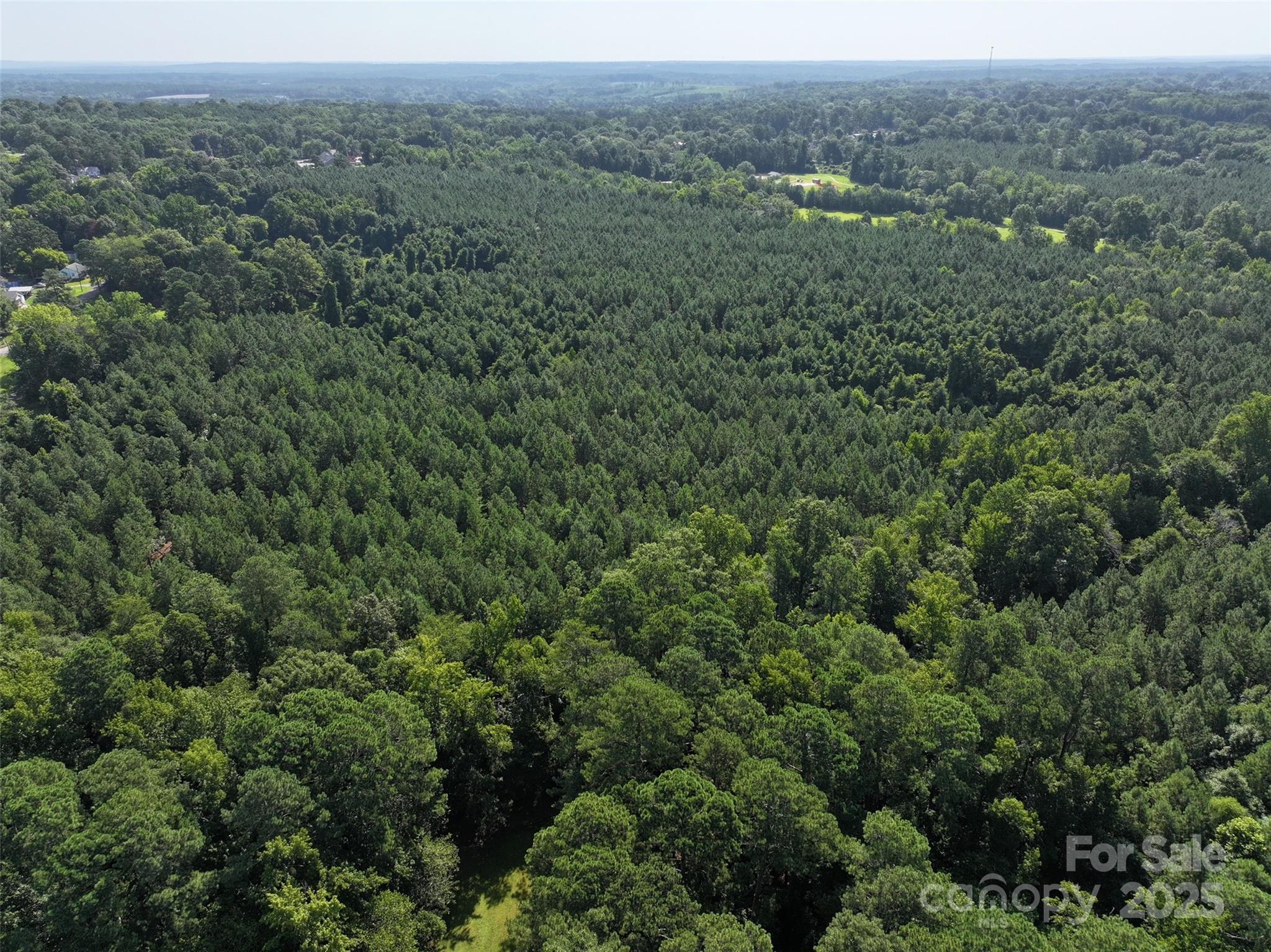 0 Chesterfield Road Wadesboro, NC 28170 - Photo 5 of 8