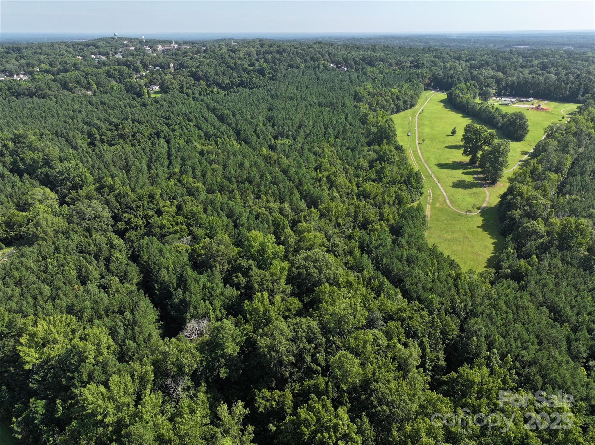 0 Chesterfield Road Wadesboro, NC 28170 - Photo 8 of 8 a view of a forest with a sink