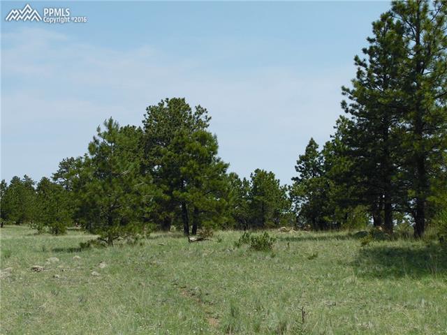 1090 Doe Valley Road Guffey, CO 80820 - Photo 3 of 15 One of many level, private building sites. Note the game trail front and center.