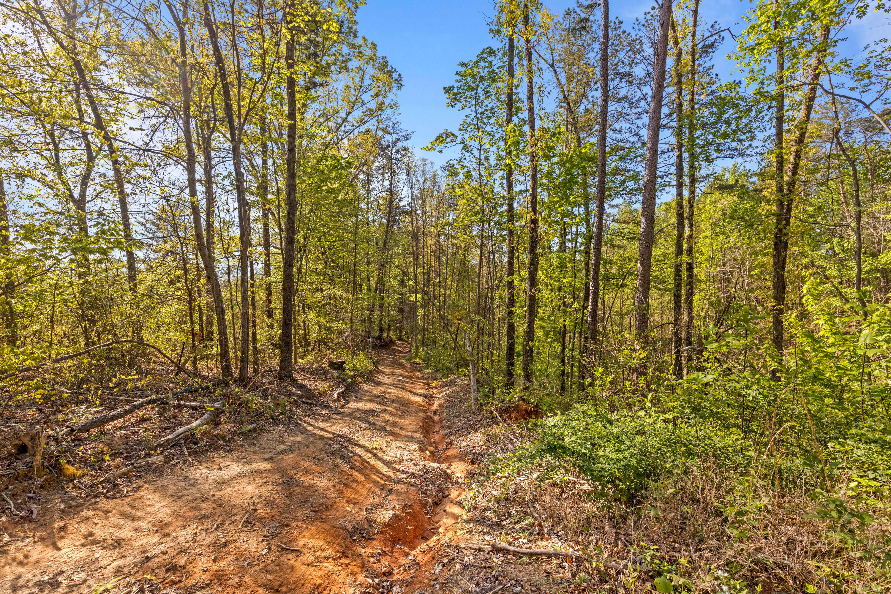 0 Valley View Highway Whitwell, TN 37397 - Photo 6 of 26 ValleyView-3
