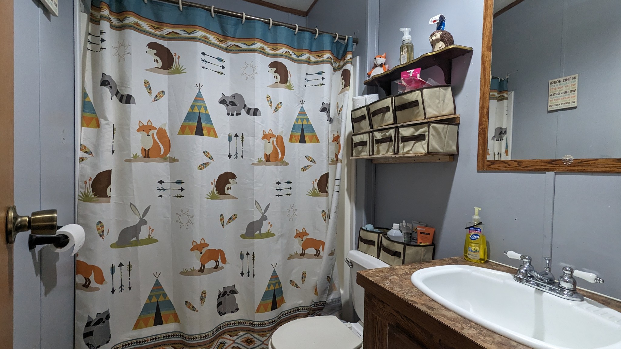 1473 North Sumner Road Bethpage, TN 37022 - Photo 26 of 40 a bathroom with a sink and a mirror