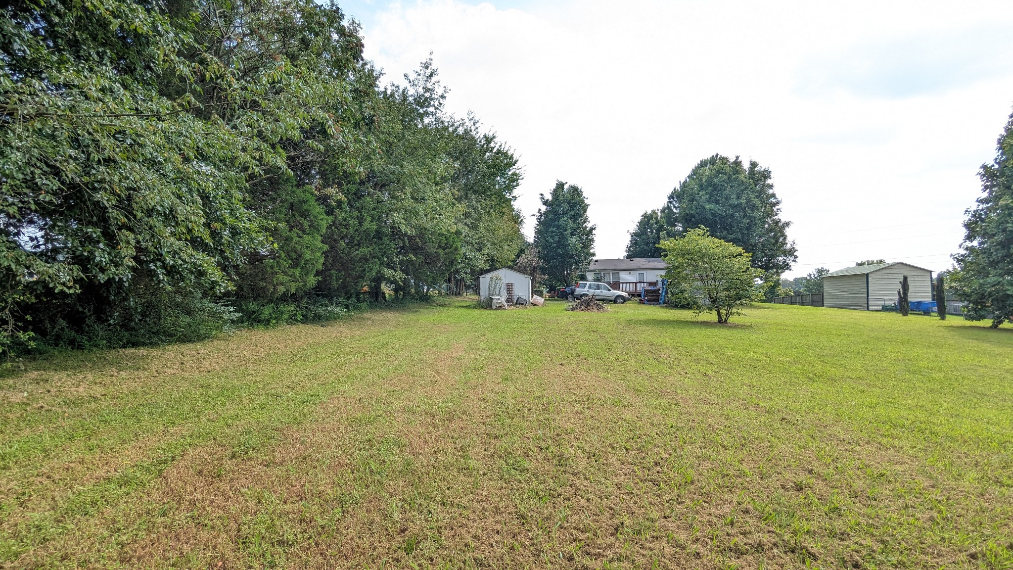 1473 North Sumner Road Bethpage, TN 37022 - Photo 36 of 40 a view of a field with of trees