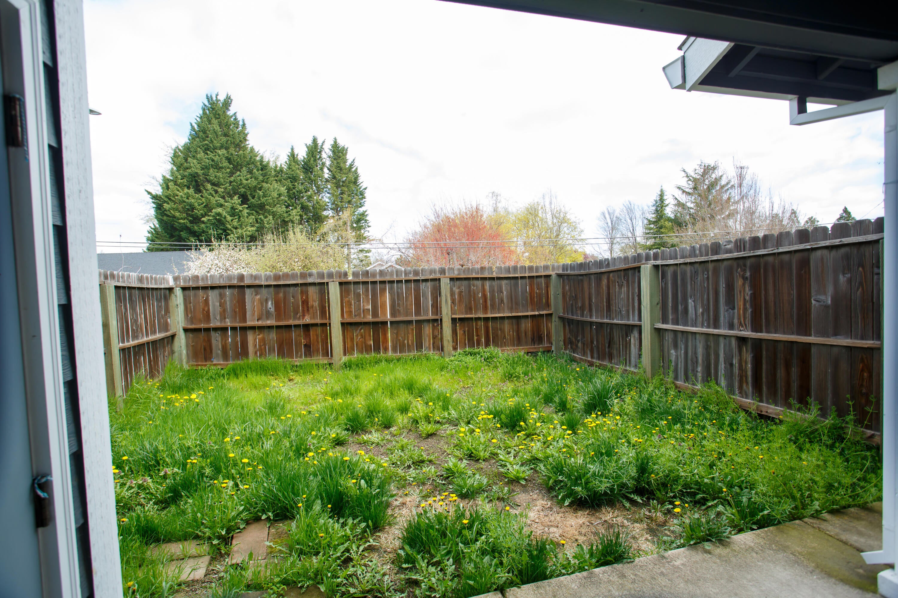 450 Midway Road, Unit 24 Medford, OR 97501 - Photo 25 of 29 450MIDWAY_2Backyard