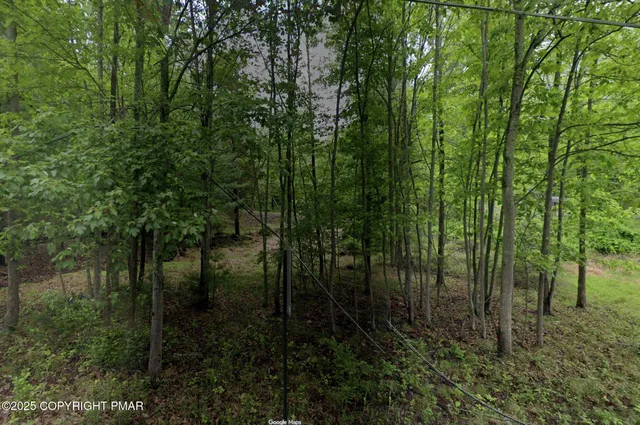 a view of outdoor space and green space