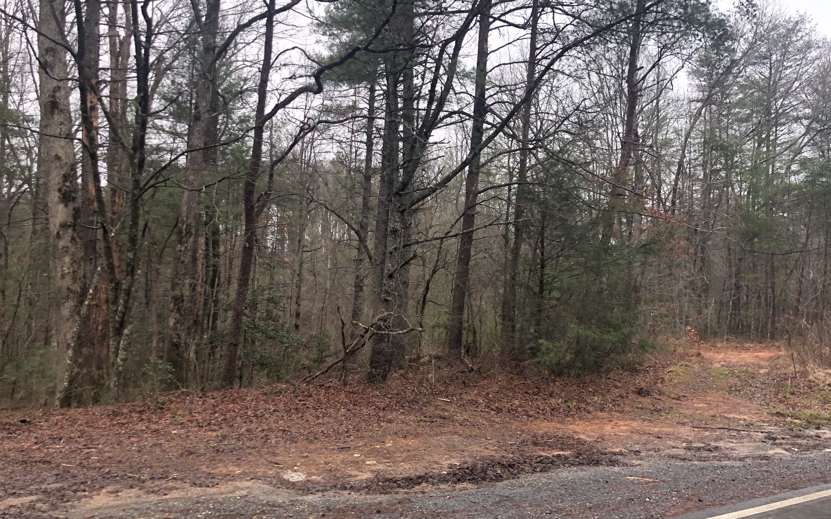 0 Madola Road Epworth, GA 30541 - Photo 1 of 1 Main View