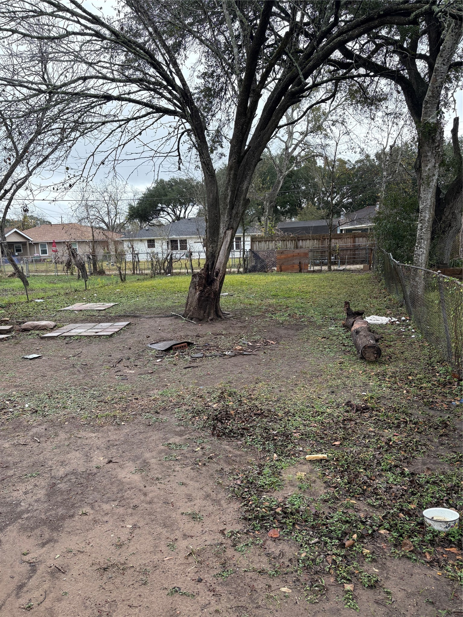 1215 8th Street Rosenberg, TX 77471 - Photo 7 of 7 Back yard